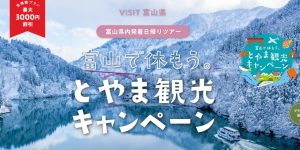 【全国旅行支援適用プラン】産業観光▸nilucurry